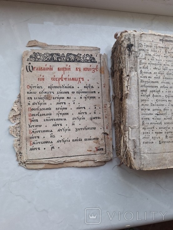 Книга Елизаветы