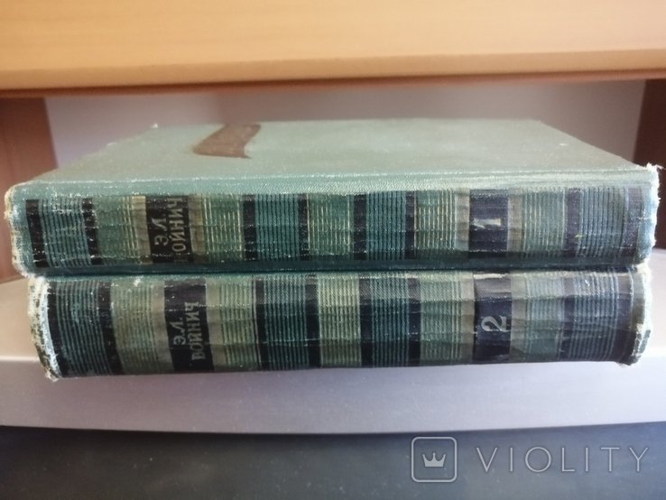 Е.Л. Войнич. В 2 книгах