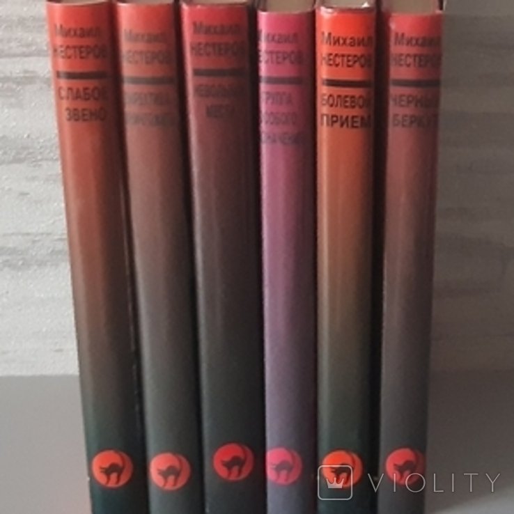 Михайло Нєстеров. 6 книг
