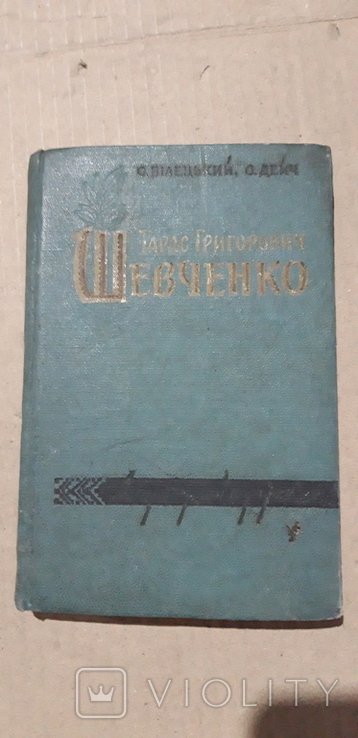 Т.Г. Шевченко. Литературный портрет