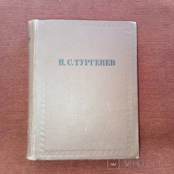И.С. Тургенев. Академия