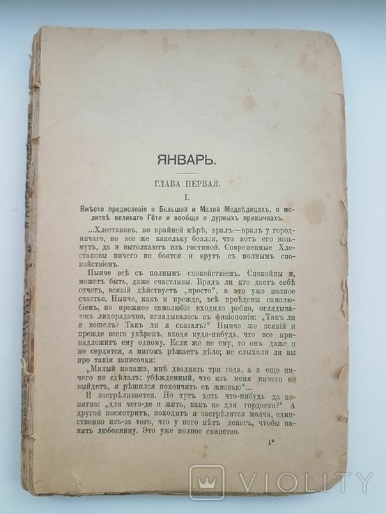 Ф.М. Достоевский. 1895 год