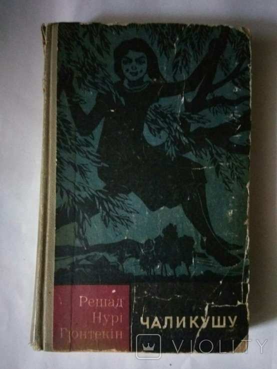 Р.Н. Гюнтекін. Чаликушу