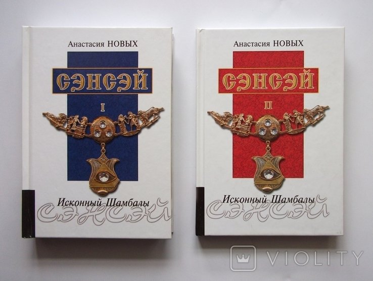 А.Н. Новых. Сэнсэй