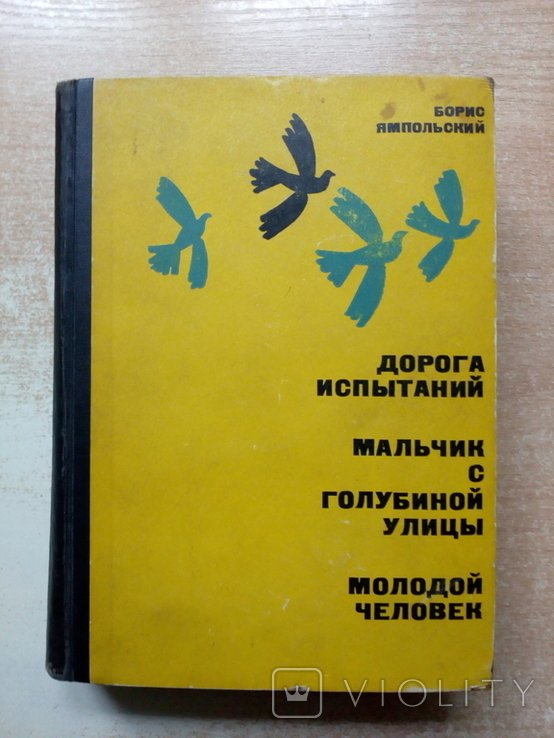 Ямпольский. Дорога испытаний, Мальчик с Голубиной улицы, Молодой человек
