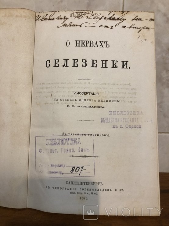 О. С. Селезнев. О селезенке