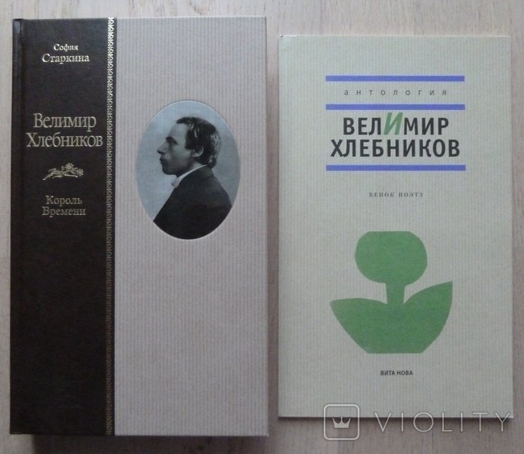 С. Старкин. Велимир Хлебников. Король времени. Биография