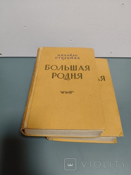 М. Стельмах. Большая родня