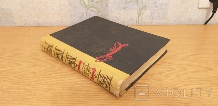 Ш. Руставели. Витязь в тигровой шкуре