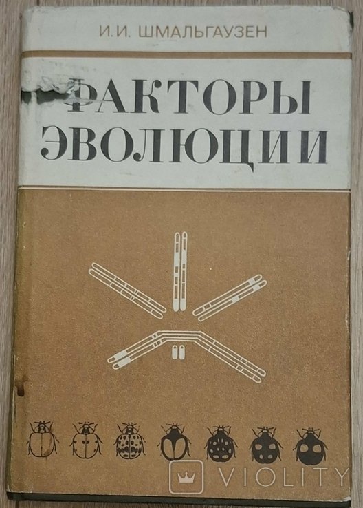 И.И. Шмальгаузен. Факторы эволюции (теория стабилизирующего отбора)