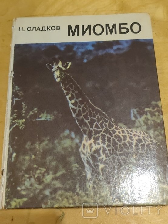 Н. Сладков. Миомбо