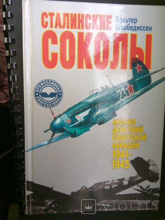 В. Швабедиссен. Сталинские соколы