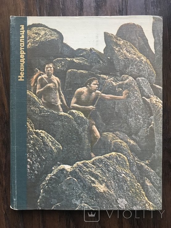 Возникновение Человека. Неандертальцы