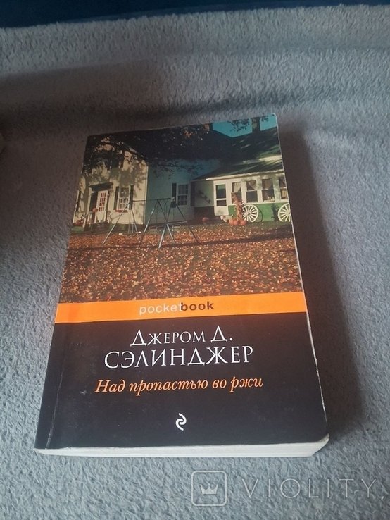 Д. С. Сэлинджер. Над пропастью во ржи