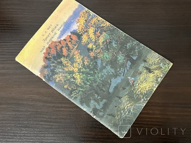 А.А. Фет. Книга