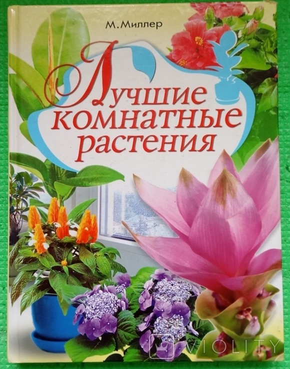 М. Миллер. Лучшие комнатные растения