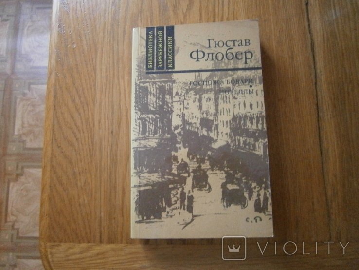 Г. Флобер. Госпожа Бовари