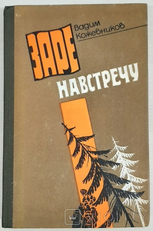 В.М. Кожевников. Заре навстречу
