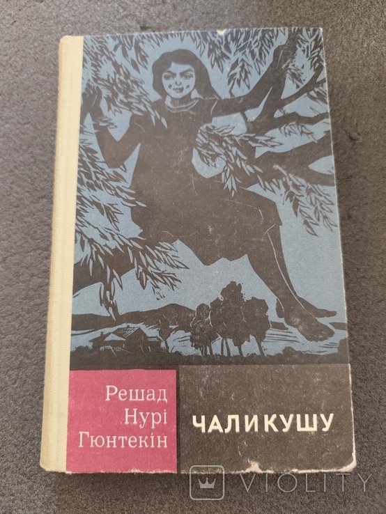 Р.Н. Гюнтекін. Чаликушу