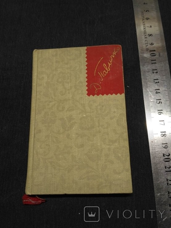 Д. Павличко. 1960р
