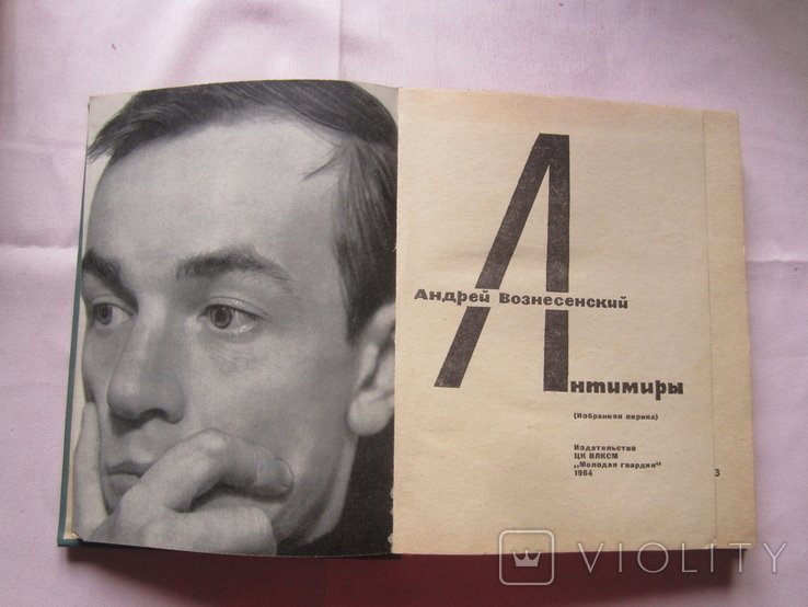 А. Вознесенский. Антимиры