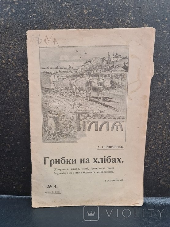 Грибки на хлебах