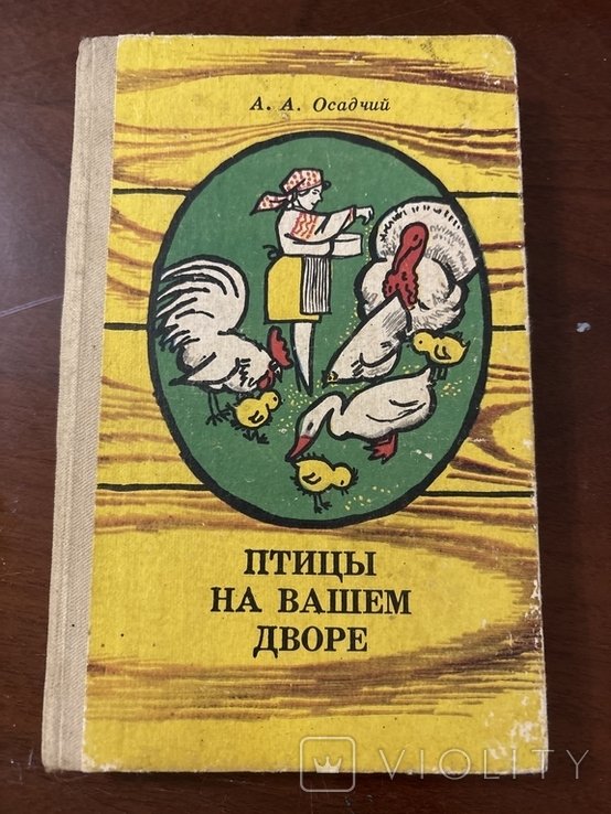 А.А. Осадчий. Птицы на вашем дворе