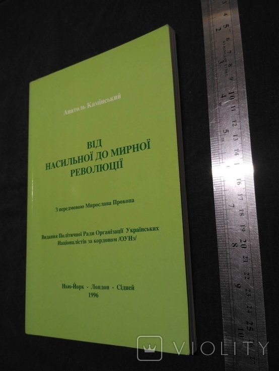 А. Каминский. От насильственной до мирной революции