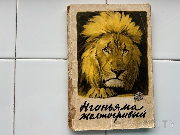 Э. Гленвилл. Нгоньяма желтогривый