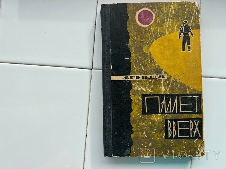 А. Полещук. Падает вверх