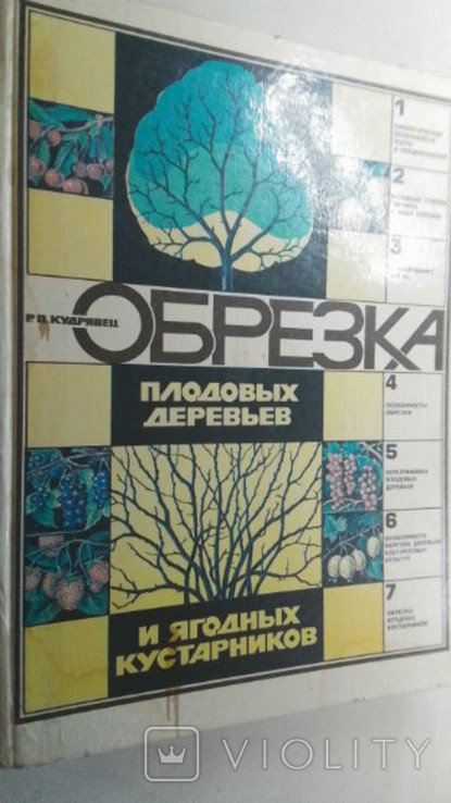 Р. Кудрявец. Обрезка плодовых деревьев и ягодных кустарников