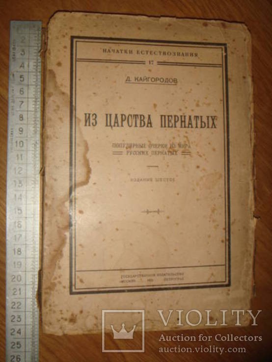 Д.Н. Кайгородов. Из царства пернатых